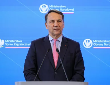 Miniatura: Sikorski po spotkaniu z szefem MSZ...