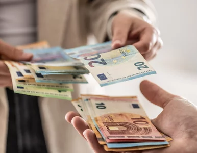 Miniatura: Kursy walut 30 października 2025. Po ile...