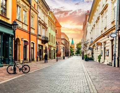 Miniatura: Polacy wybrali ulubiony jesienny kierunek....