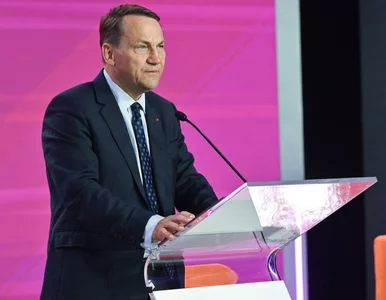 Miniatura: Sikorski ujawnił, co mówił Ukraińcom przed...