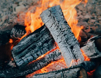Miniatura: Rozsyp zimą na rabatach. Latem ogród ci...