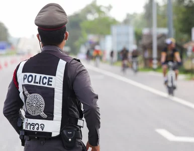 Miniatura: Turyści z Polski wywołali skandal. Trafili...