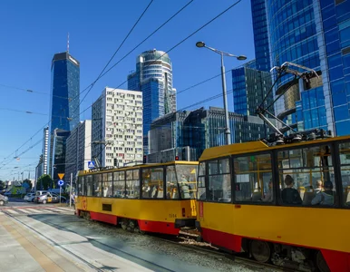 Miniatura: Kolejne dobre wieści z polskiej...