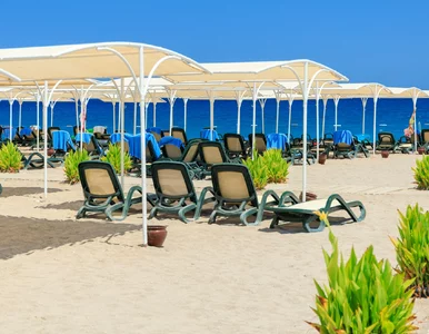 Miniatura: Tutaj już teraz poczujesz ciepłą wiosnę....