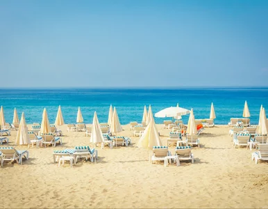 Miniatura: All inclusive za 889 zł. Już 6 grudnia...