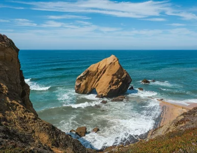 Miniatura: Sensacja przy turystycznej plaży w...