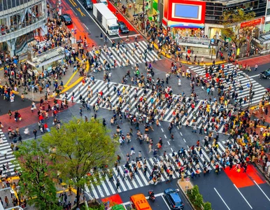 Miniatura: Dużo kolorów i słynny pomnik. To...