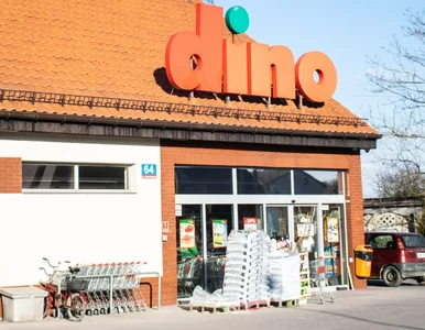 Miniatura: Woda za grosze, całe multum promocji! Dino...