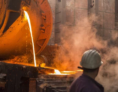 Miniatura: Nowa Sól na mapie surowców. Projekt, który...