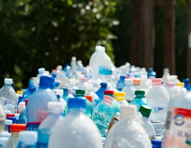 Miniatura: System kaucyjny od października. Co z...