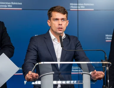 Miniatura: Masło stanieje po Nowym Roku? Ważna...