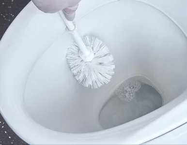 Miniatura: Wieczorem wsypuję pół szklanki do muszli....