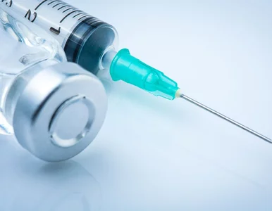 Miniatura: GIF pilnie blokuje antybiotyk w całej...