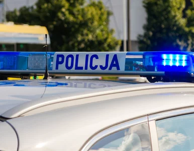 Miniatura: Szukają 8 tys. osób. Na start ponad 5,4...