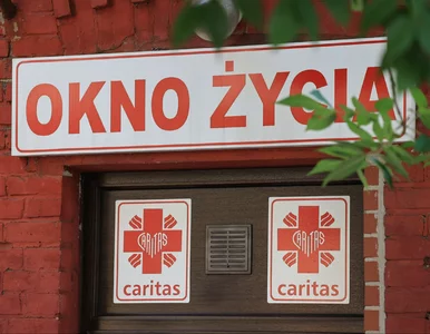 Miniatura: Dziecko w oknie życia w Gdańsku....