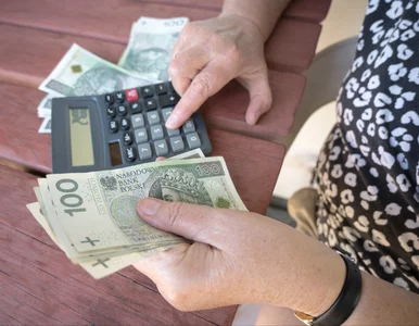 Miniatura: Kobiety bez dzieci będą pracować dłużej?...