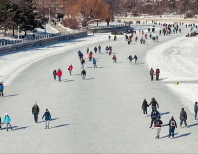 Miniatura: Tak wygląda największe lodowisko na...