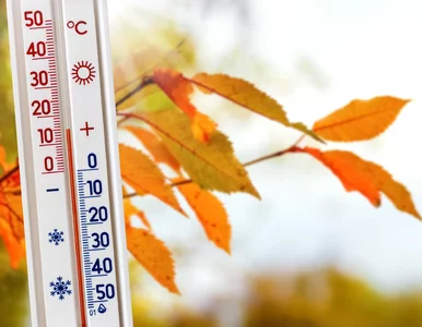 Miniatura: Jesień w Polsce będzie zupełnie inna....