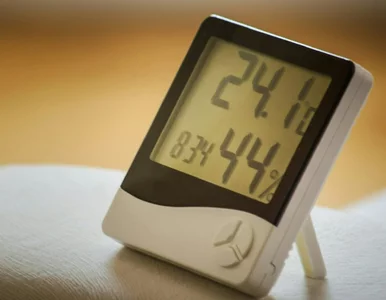 Miniatura: Te wskaźniki zaskoczyły nawet...