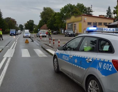 Miniatura: Syn europosłanki ciężko poturbowany....