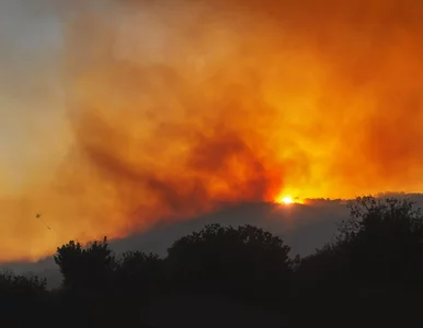 Miniatura: Potężny pożar na znanej wyspie. Są ofiary