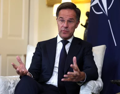 Miniatura: Źródło NATO o „celowym wtargnięciu...