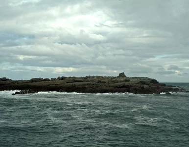 Miniatura: Morze Północne kryje mroczną tajemnicę....