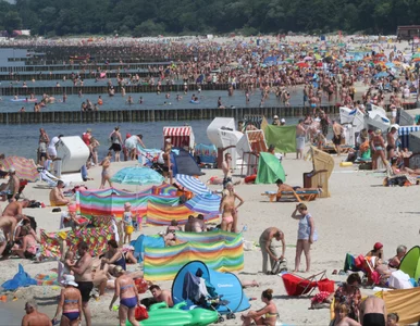 Miniatura: Tego nie rób nad polskim morzem. Mandaty...