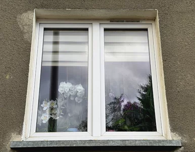 Miniatura: Połóż to na parapecie, a szyby wyschną w...