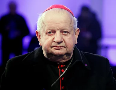 Miniatura: Komisja ds. pedofilii przesłucha kard....