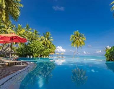 Miniatura: Uwielbiany wakacyjny kraj wprowadził...