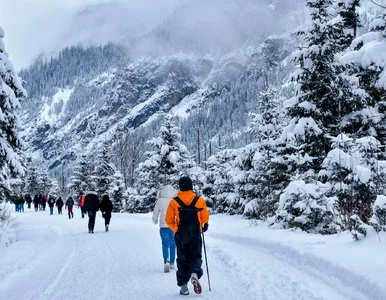 Miniatura: Obcokrajowiec odwiedził Tatry. Tego się...