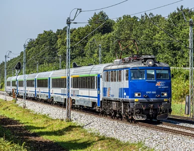 Miniatura: Tacy turyści to zmora w polskich...