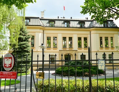 Miniatura: Sprawa wpłynęła 7 lat temu, TK nic nie...