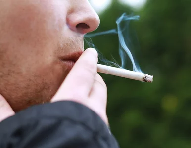 Miniatura: Palacze zapłacą za unijną obronność? Nowy...