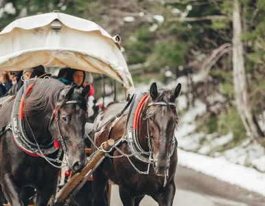 Miniatura: Burza po nagraniu z Tatr. „Smutny obraz...
