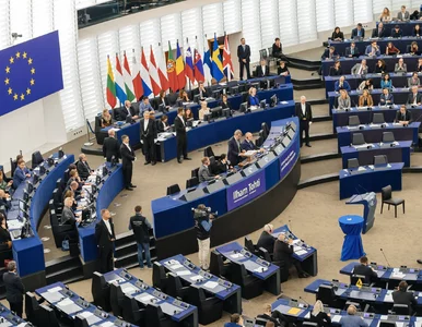 Miniatura: Parlament Europejski potępi zbrodnie UPA?...