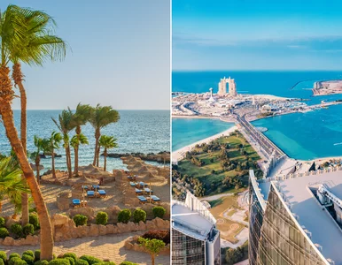 Miniatura: Nie tylko Itaka i Rainbow. Kolejne biuro...