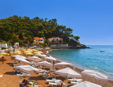 Miniatura: Ciepłe miejsce na last minute w dobrej...