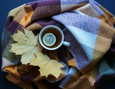 Miniatura: Quiz ortograficzny na jesienną aurę. Nawet...