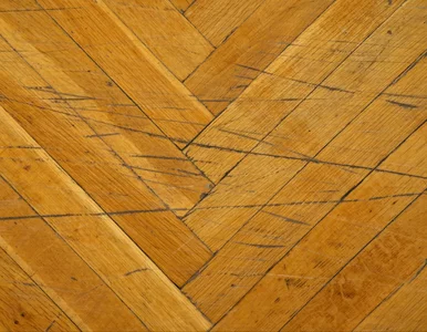 Miniatura: Nie uwierzysz, co potrafi zwykły orzech...