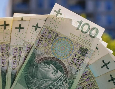 Miniatura: Sposób na emeryturę większą o połowę....