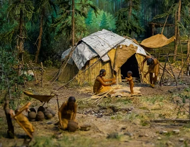 Miniatura: Trudno w to uwierzyć, ale ludzkość na...