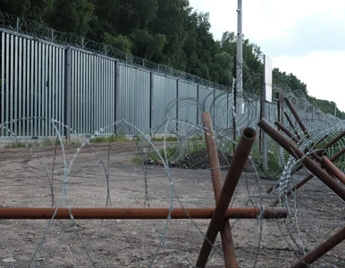 Miniatura: Żołnierz otworzył ogień na granicy z...
