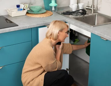 Miniatura: Włóż to do szafki pod zlewem. Zapach...