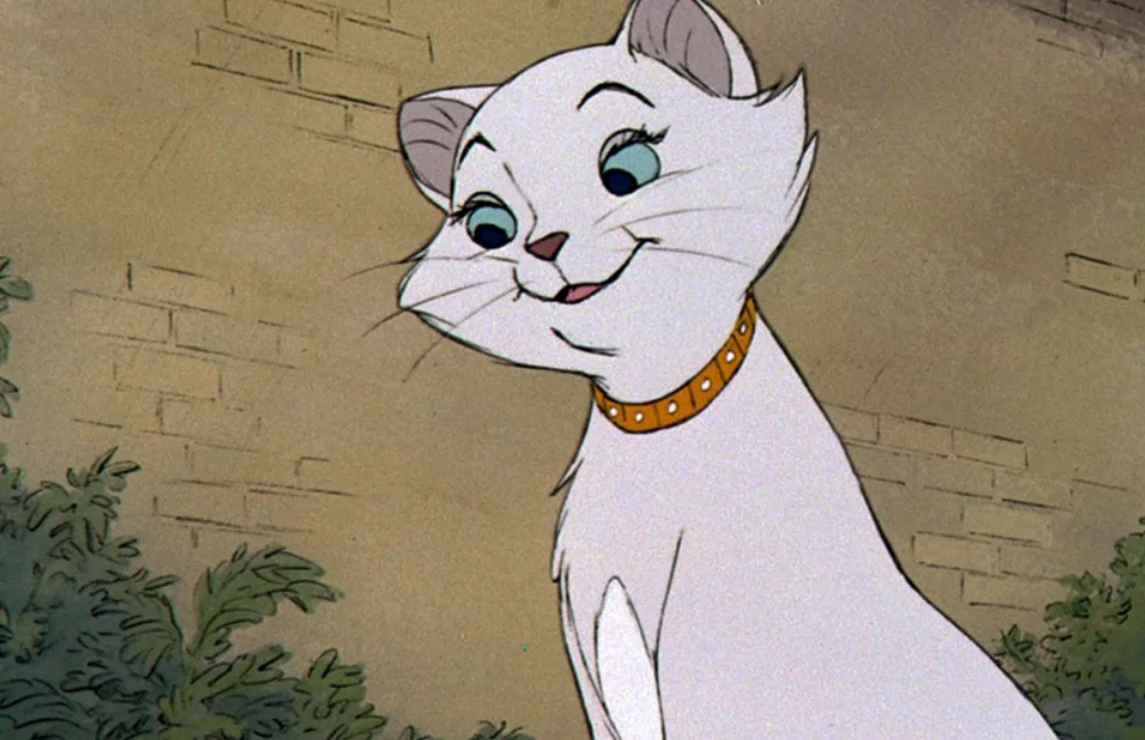 Quiz ze znanych kotów. Garfield, Kot w butach i Kocia Ferajna