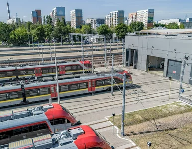 Miniatura: Pociągi wrócą do polskiego miasta po 29...
