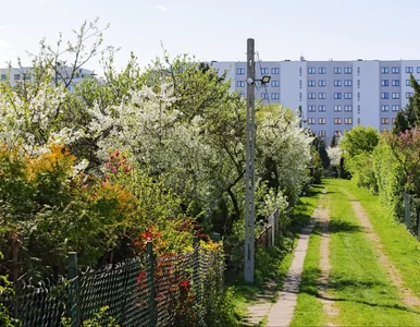 Miniatura: Masz działkę? Te błędy mogą cię kosztować...