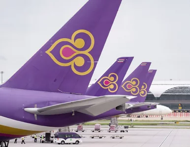 Miniatura: Wiek samolotów już nie będzie przeszkodą?...