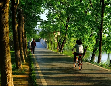 Miniatura: Robienie kroków czy jazda na rowerze? Co...